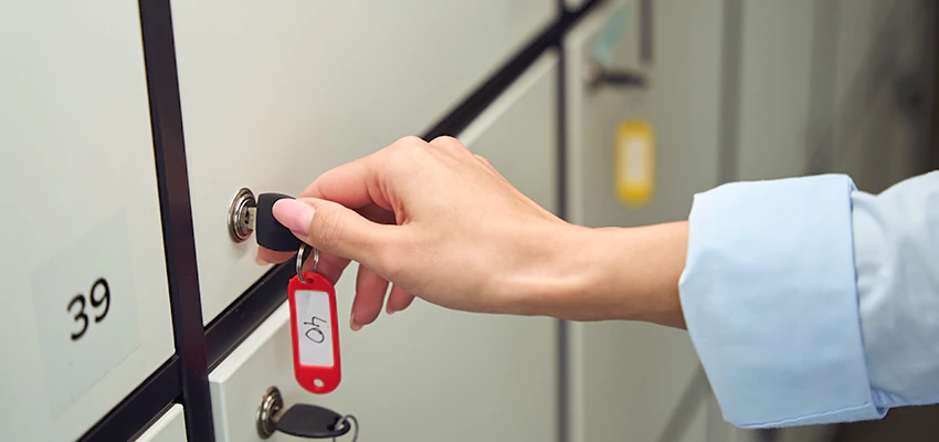 Cabinet Lock Installation in Franklin, California